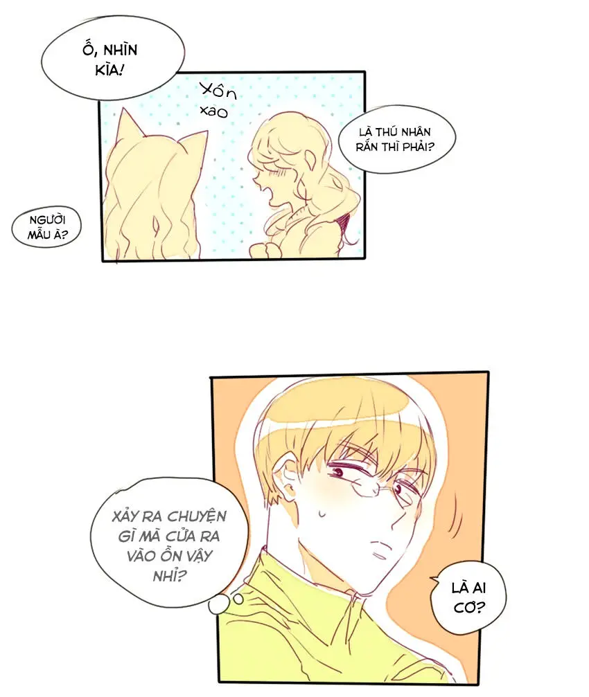 Chapter 16