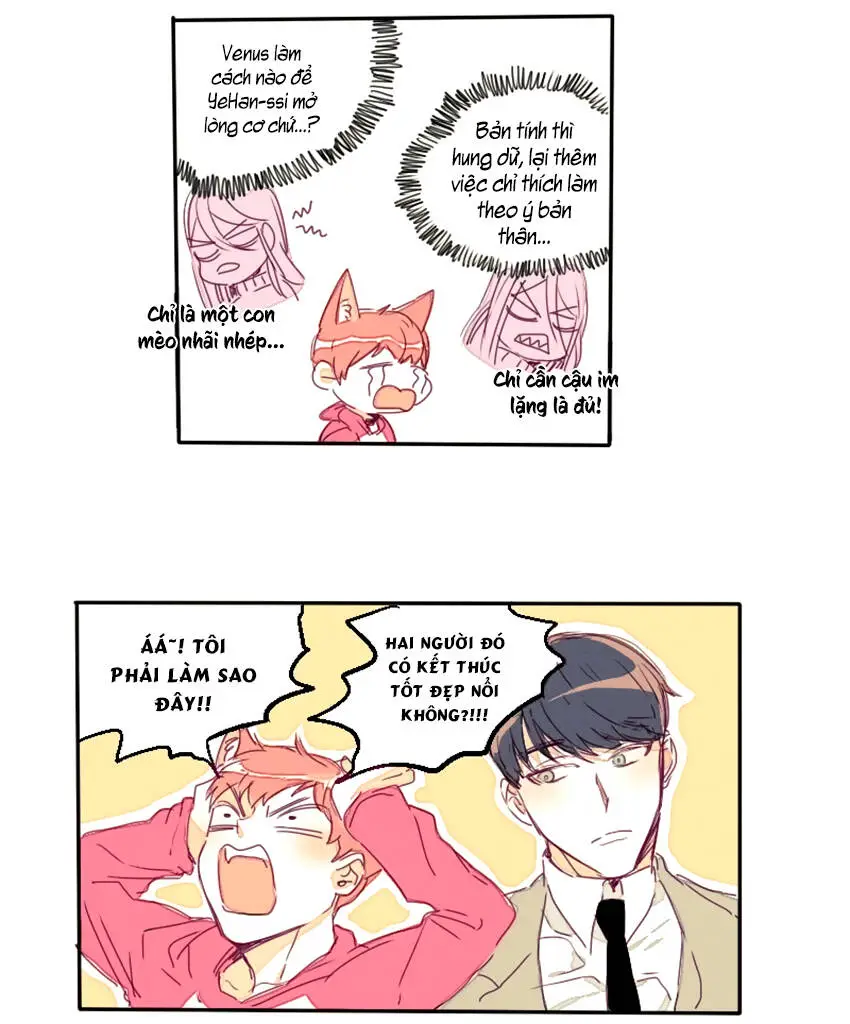 Chapter 15
