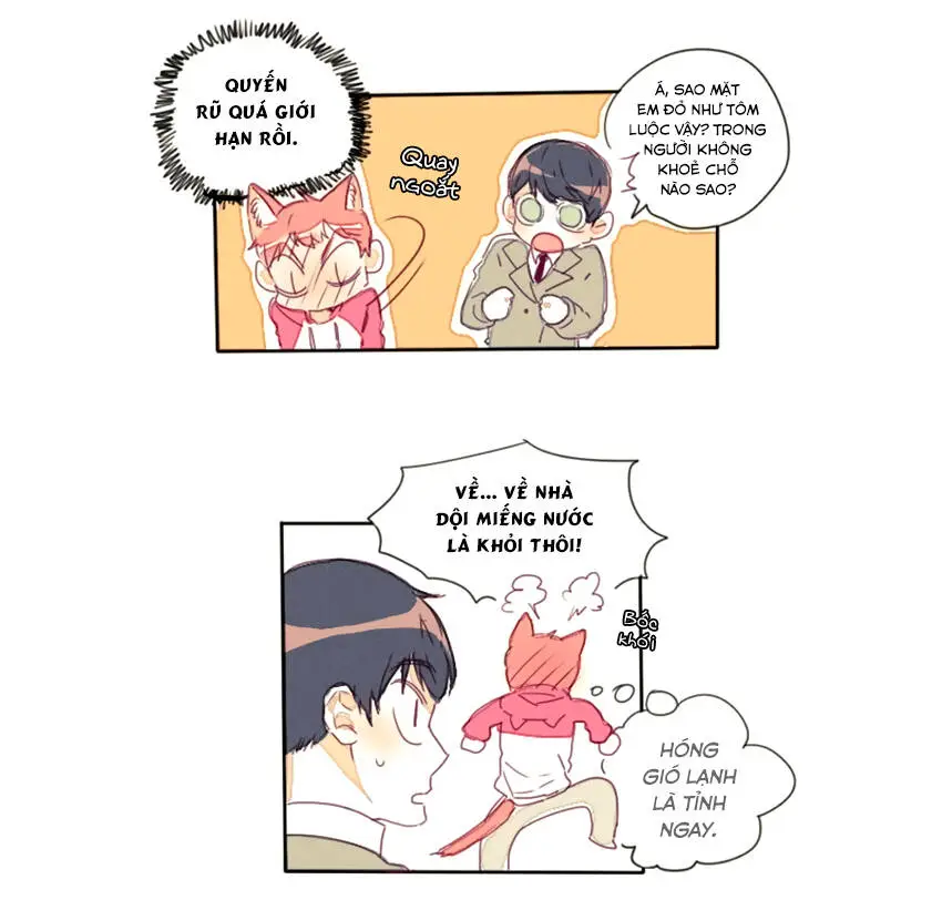 Chapter 15