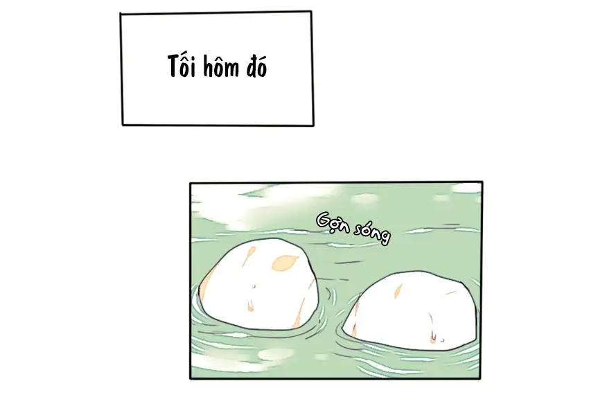 Chapter 15