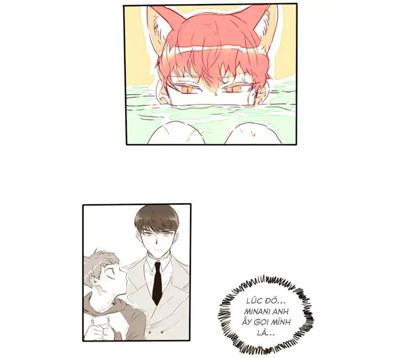 Chapter 15