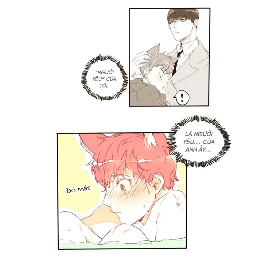 Chapter 15