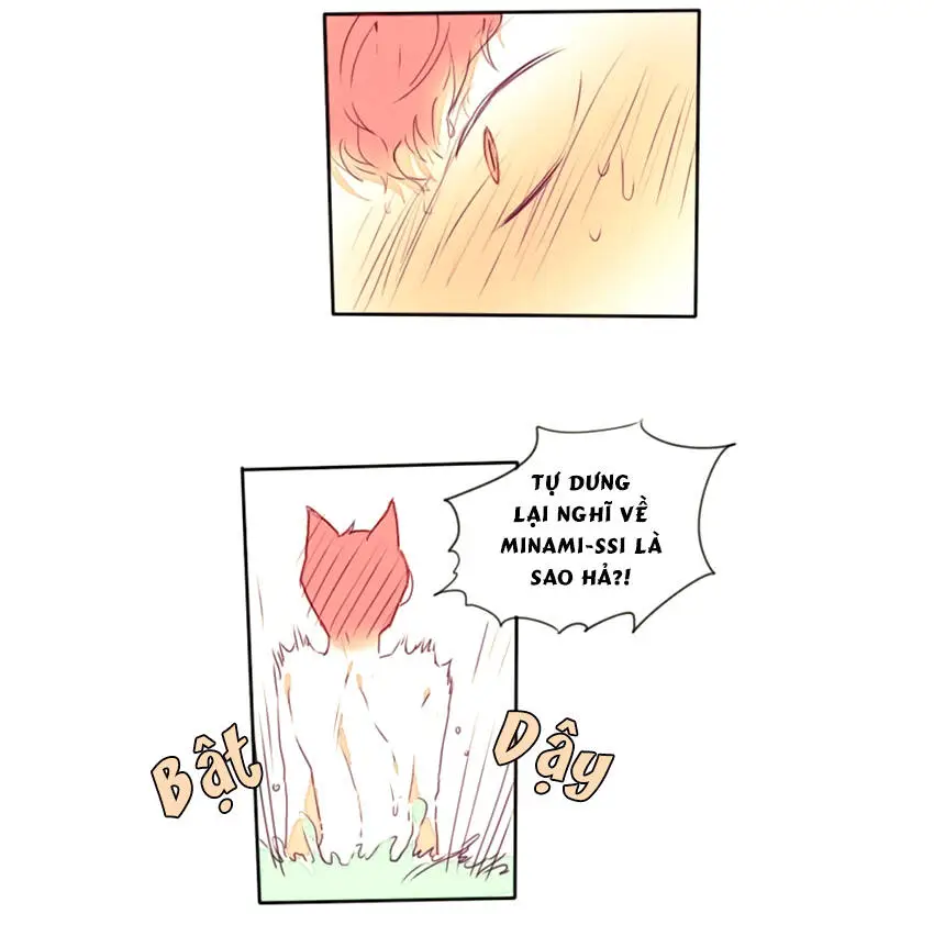 Chapter 15