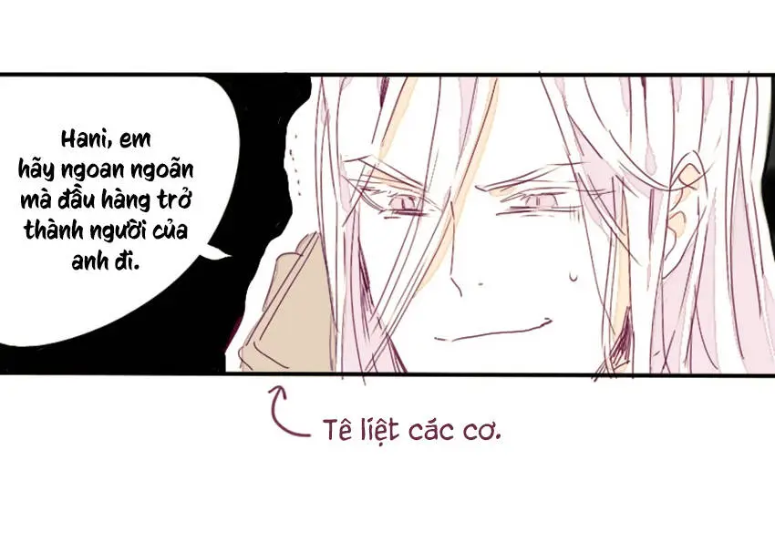 Chapter 14