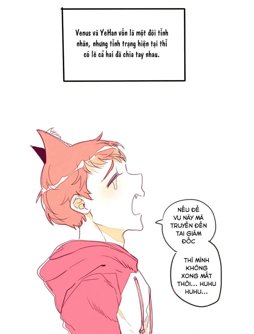 Chapter 14