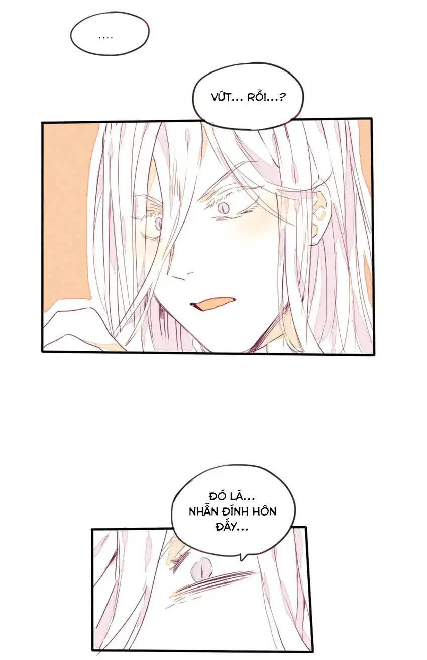Chapter 13