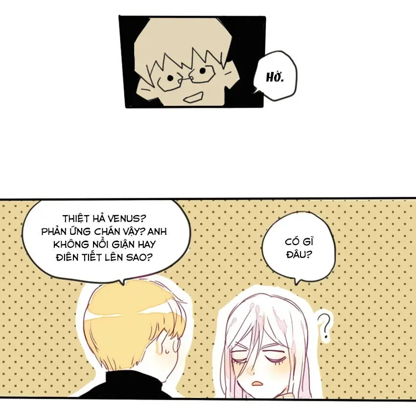 Chapter 13