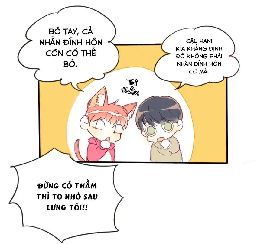 Chapter 13