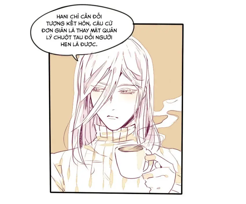 Chapter 13
