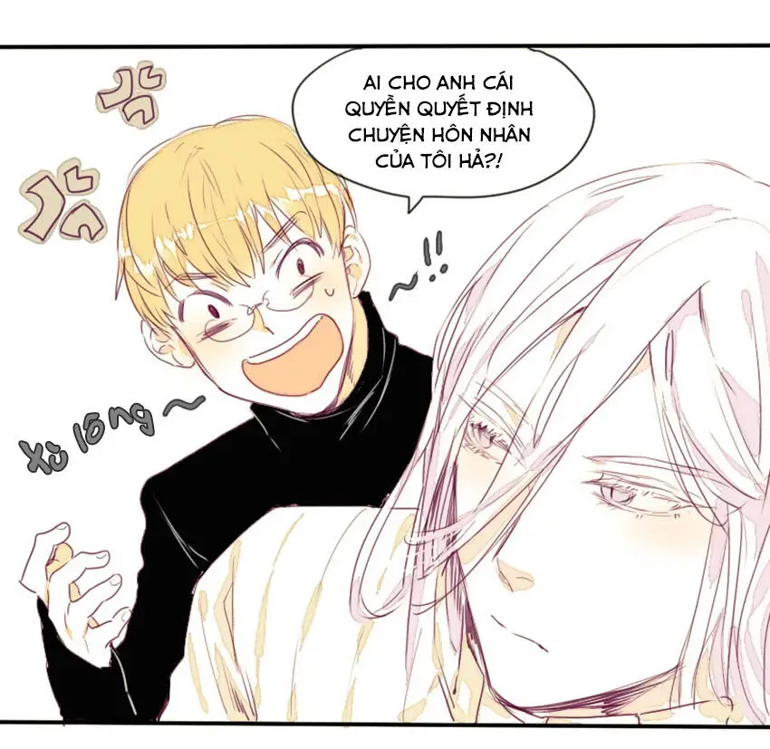 Chapter 13