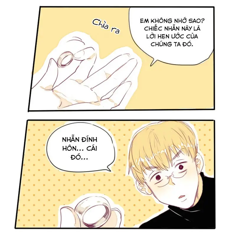 Chapter 13