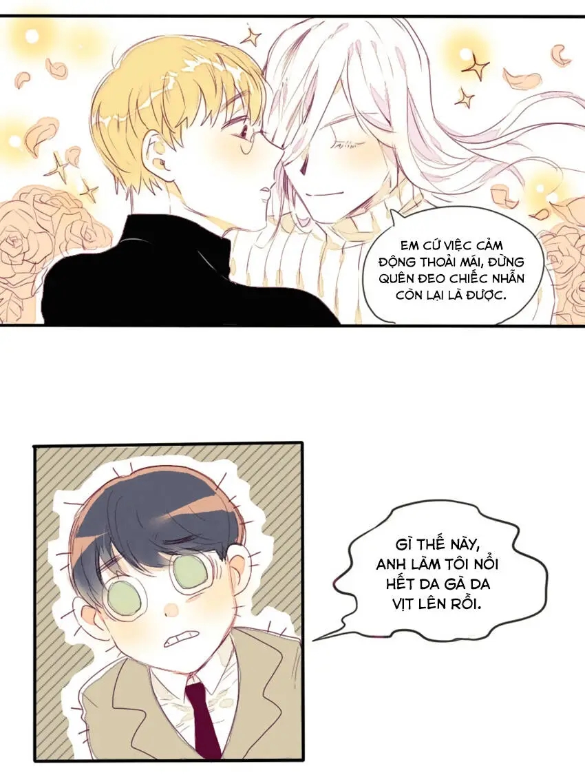Chapter 13