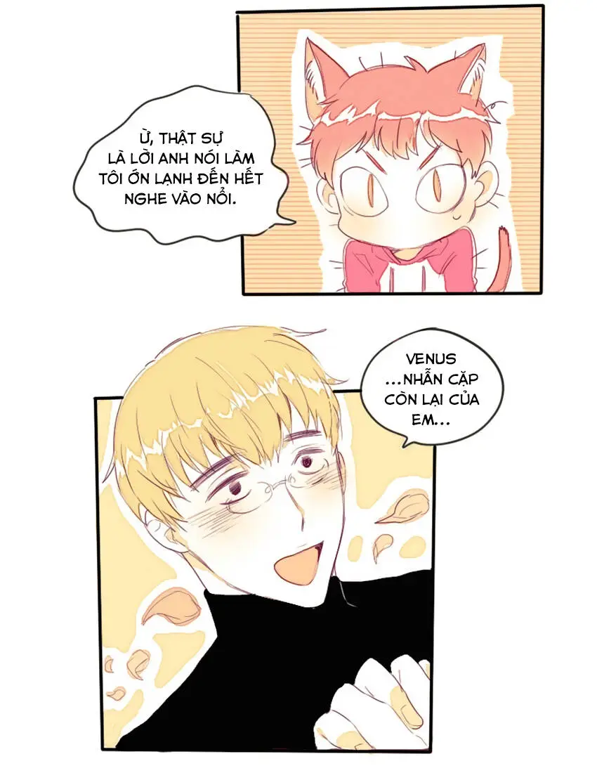 Chapter 13