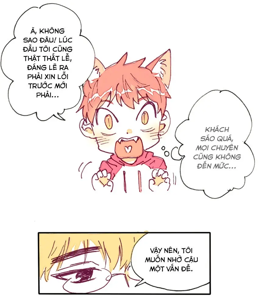 Chapter 12