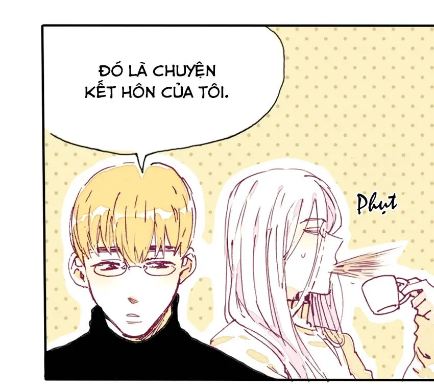 Chapter 12