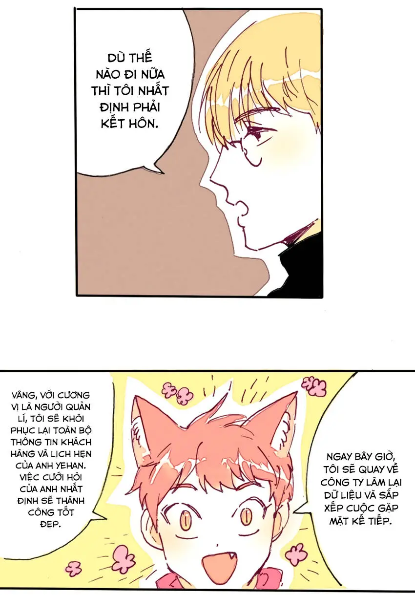 Chapter 12