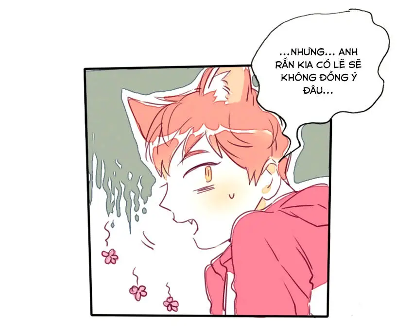 Chapter 12