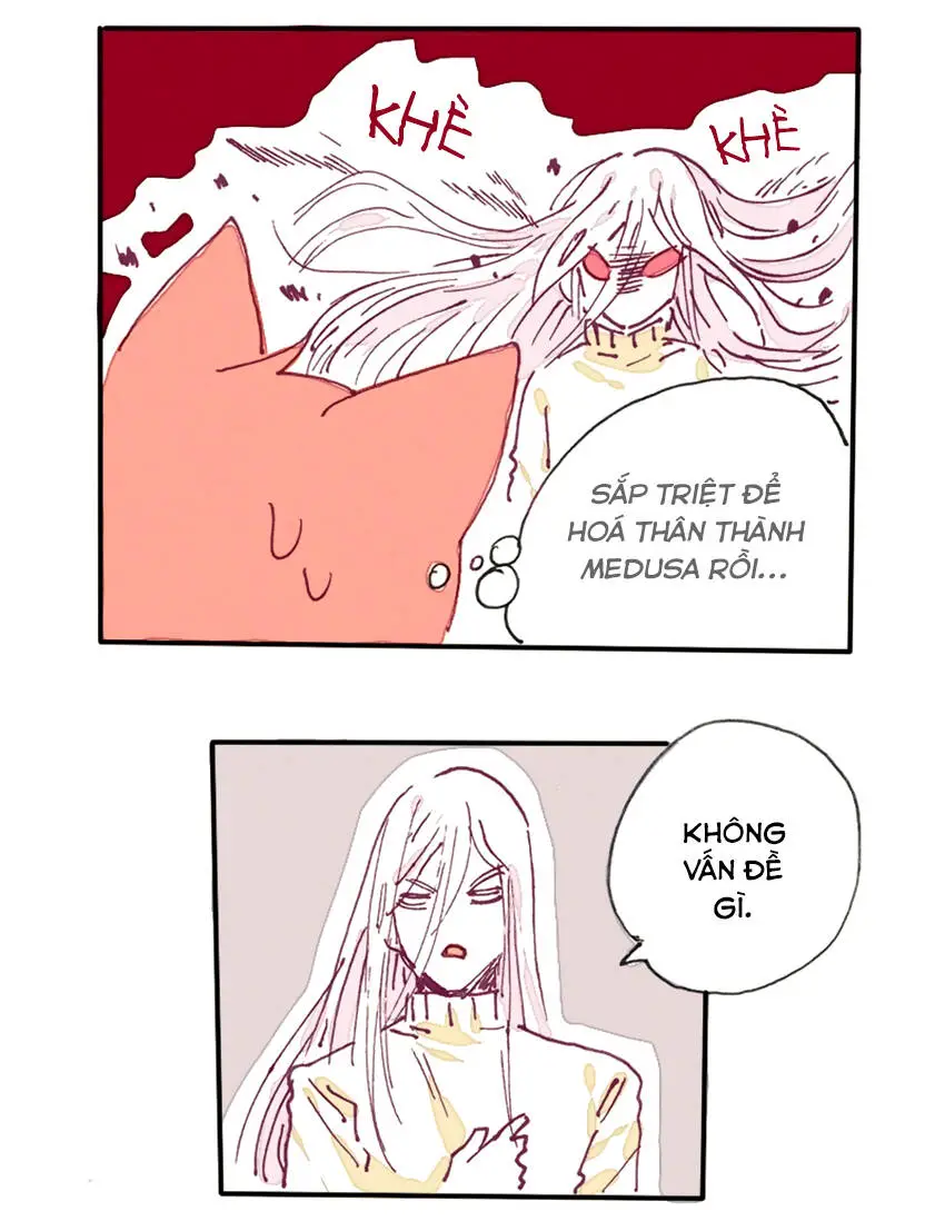 Chapter 12