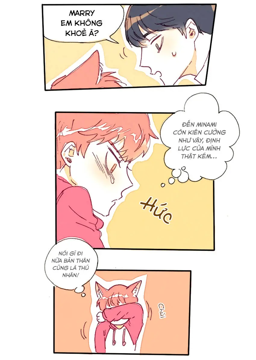 Chapter 12