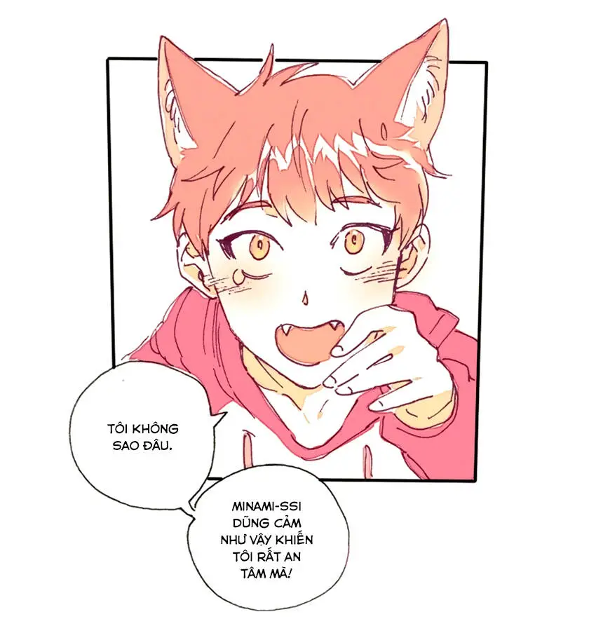 Chapter 12