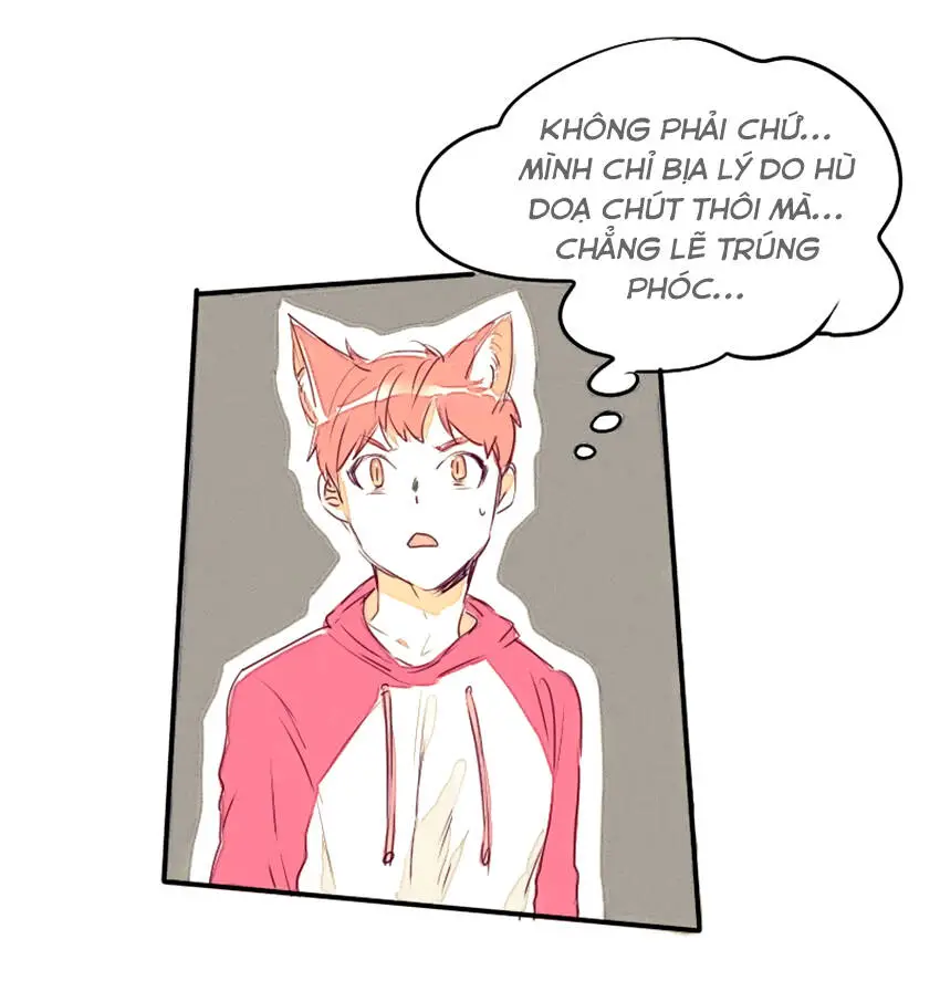 Chapter 11