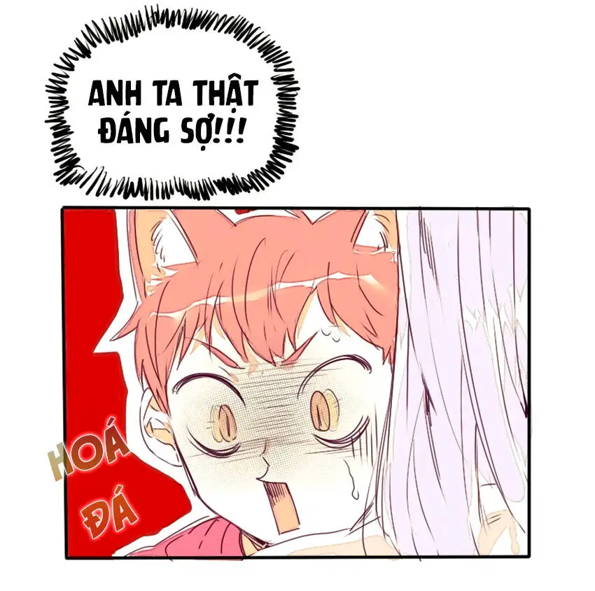 Chapter 11