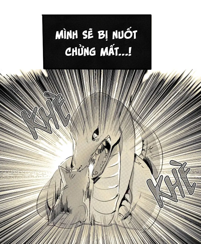 Chapter 11