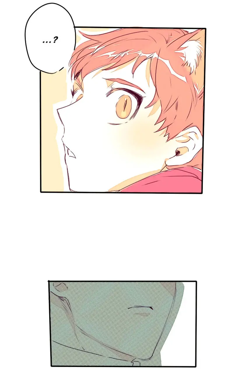 Chapter 11