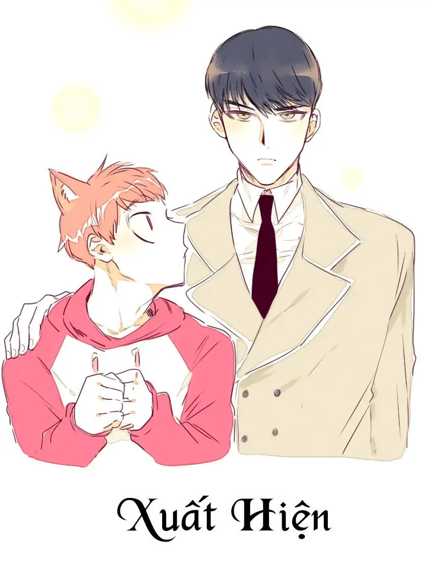 Chapter 11