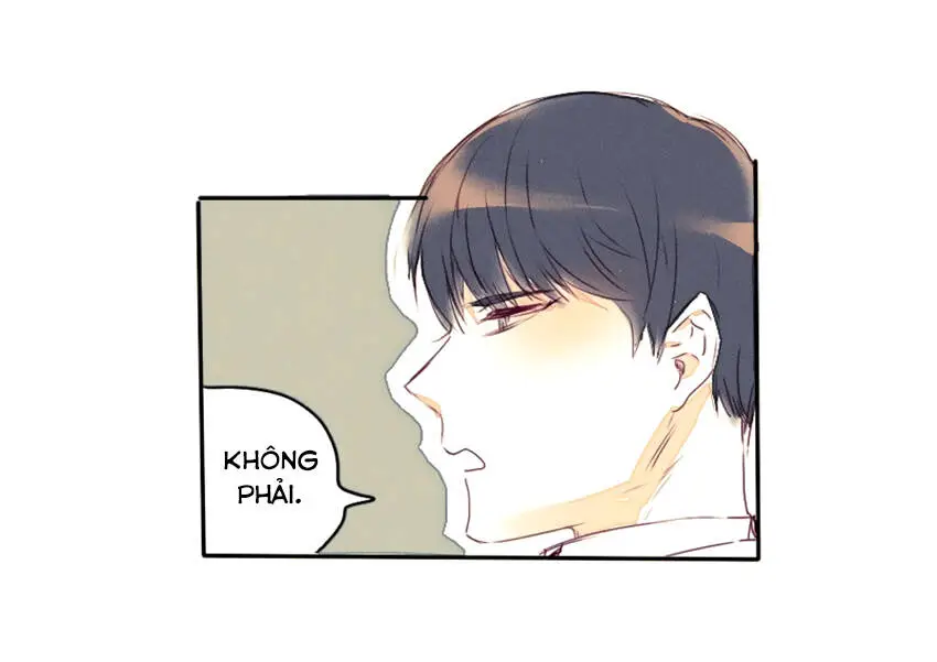 Chapter 11