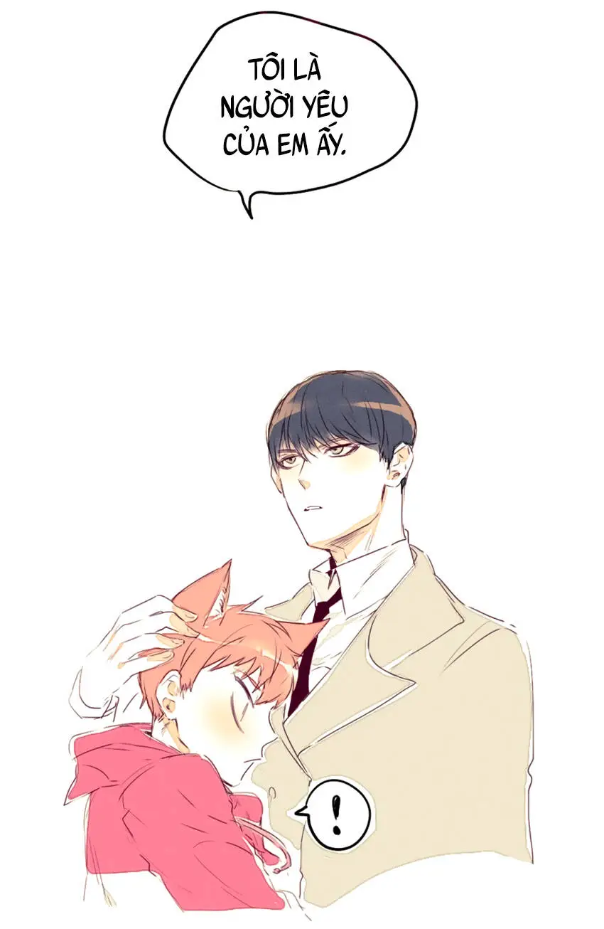 Chapter 11