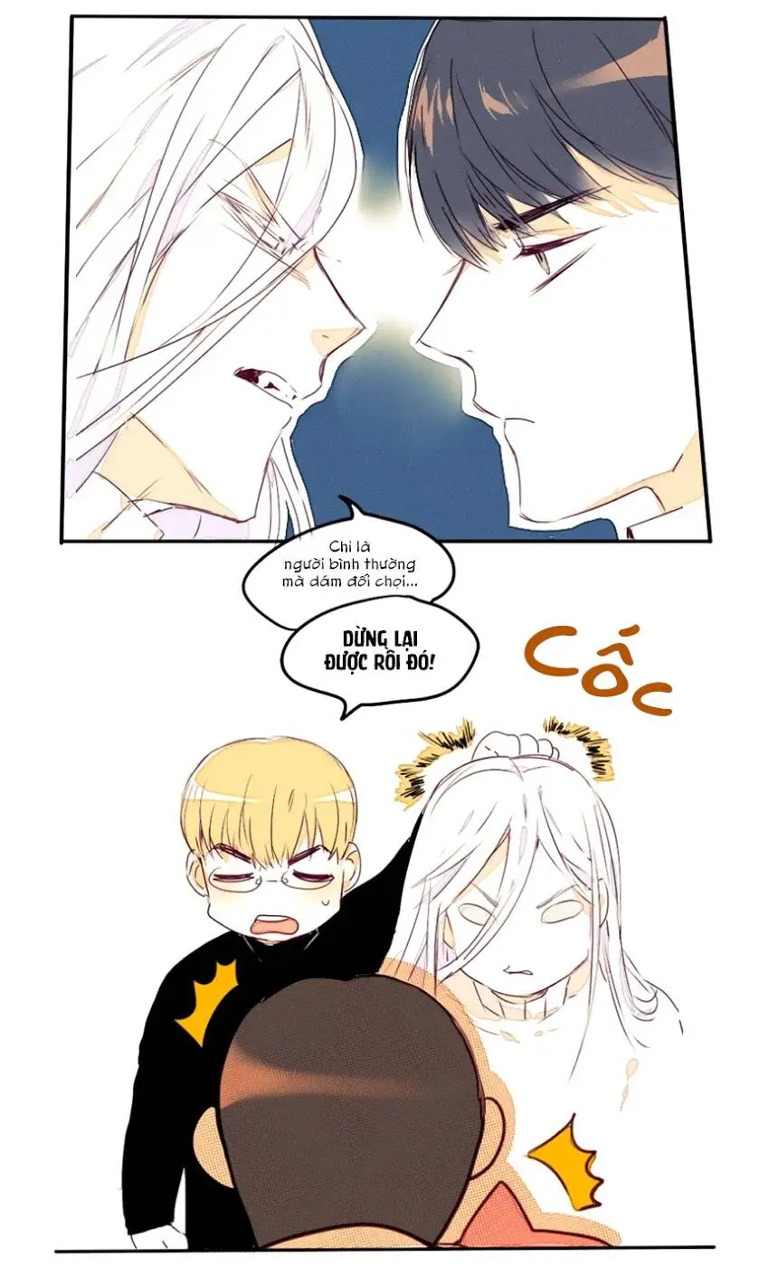 Chapter 11