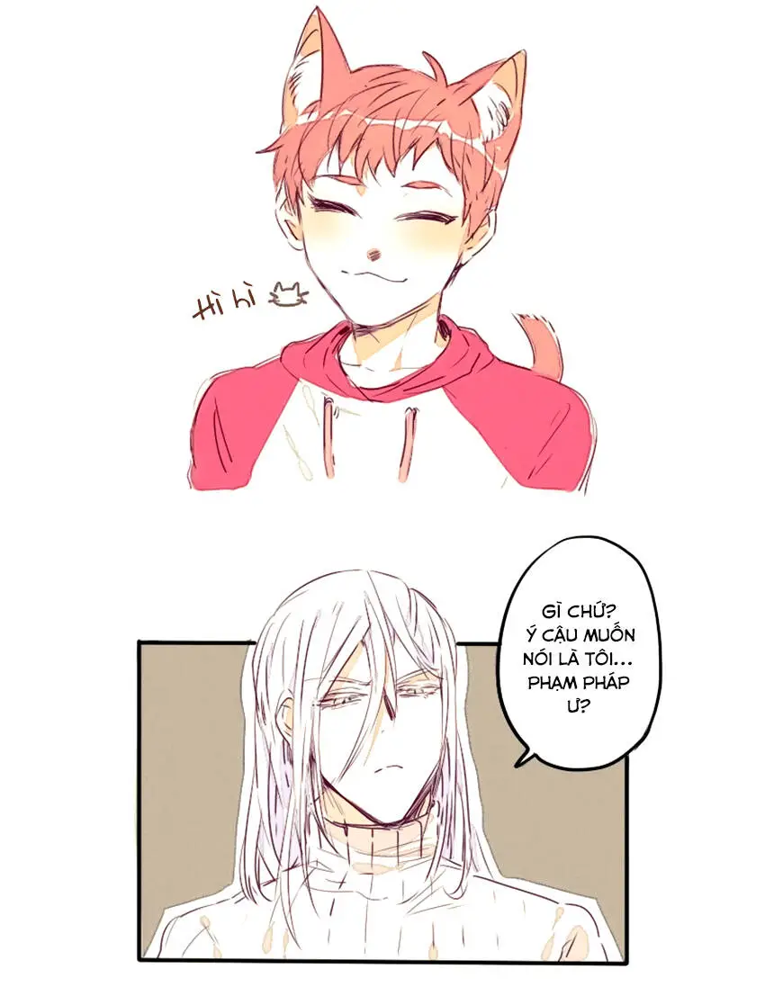 Chapter 11