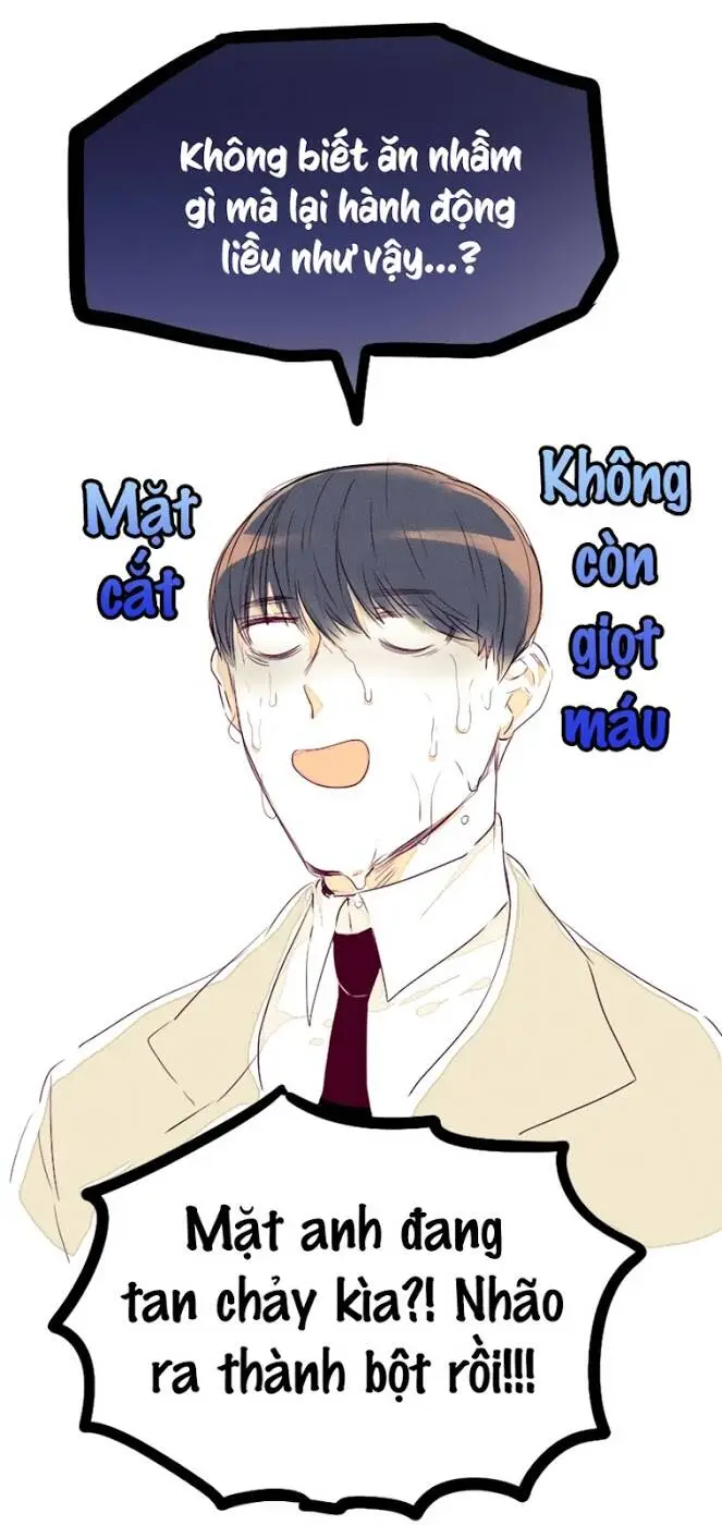Chapter 11