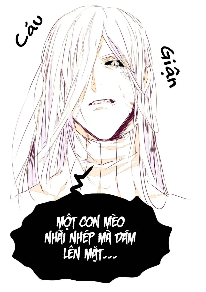 Chapter 11