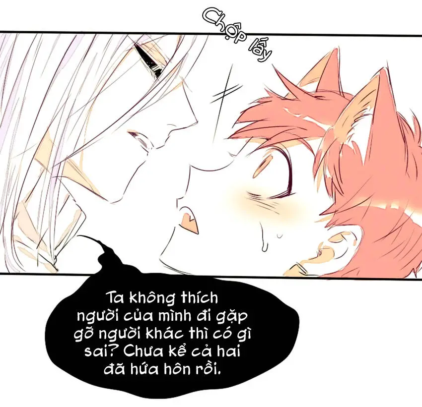 Chapter 11