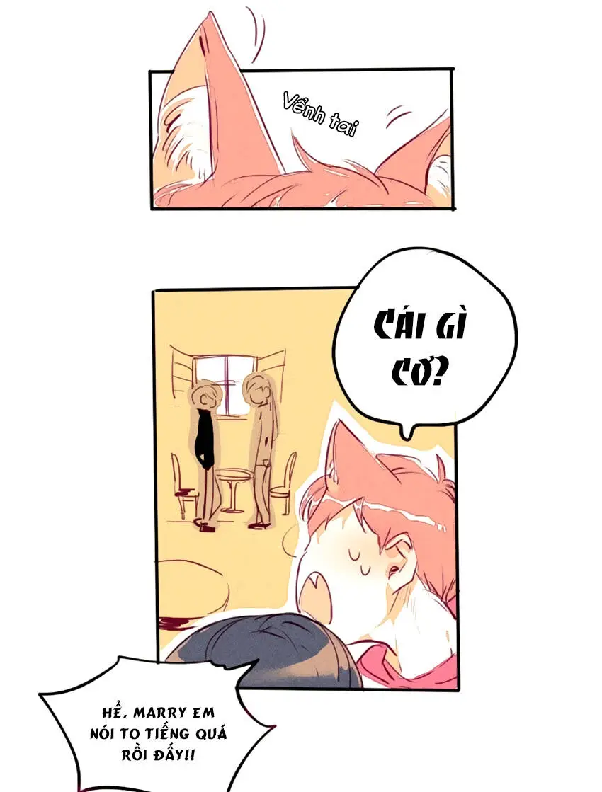 Chapter 10