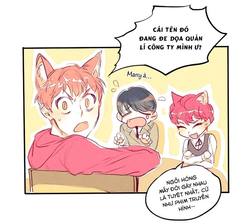 Chapter 10