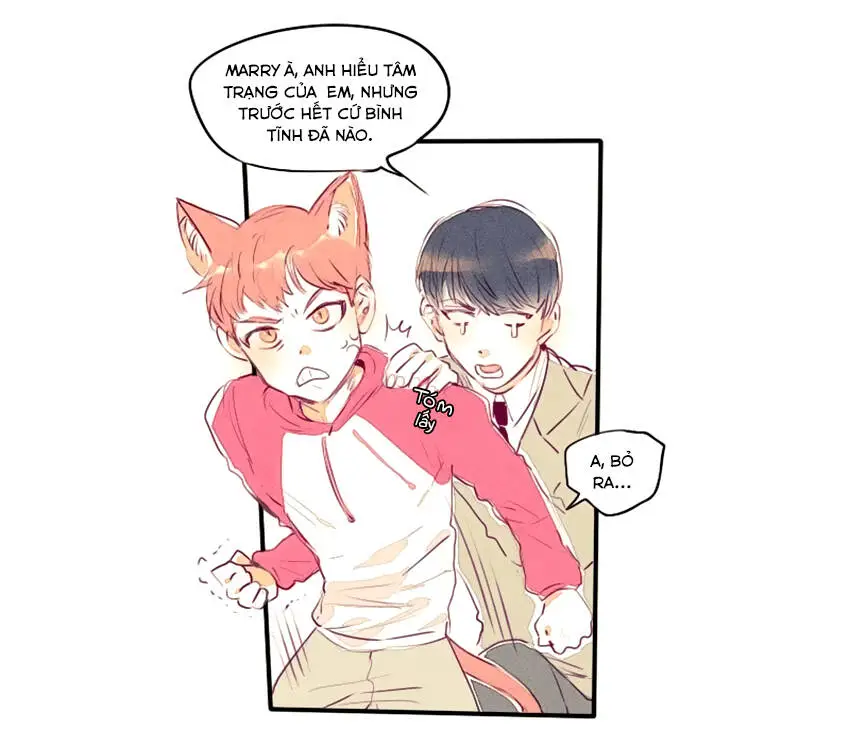 Chapter 10