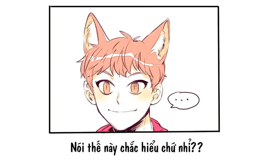 Chapter 10