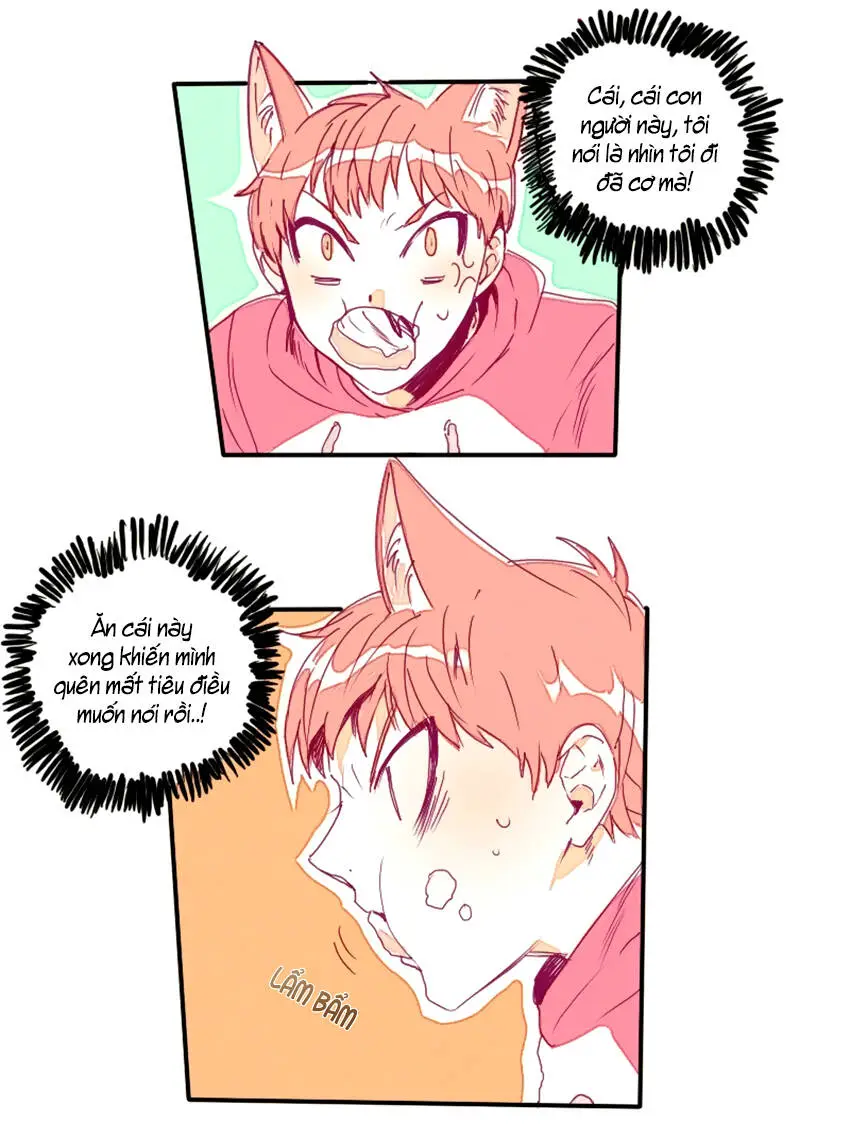 Chapter 9