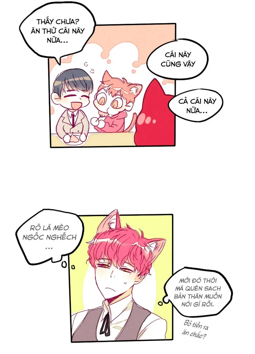 Chapter 9