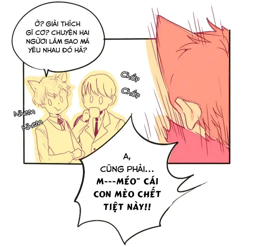 Chapter 9