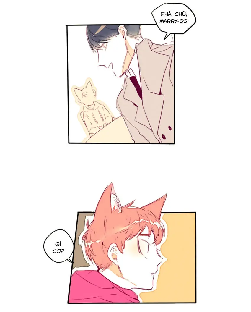 Chapter 8
