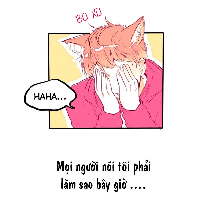 Chapter 8