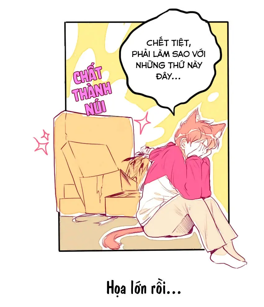Chapter 8
