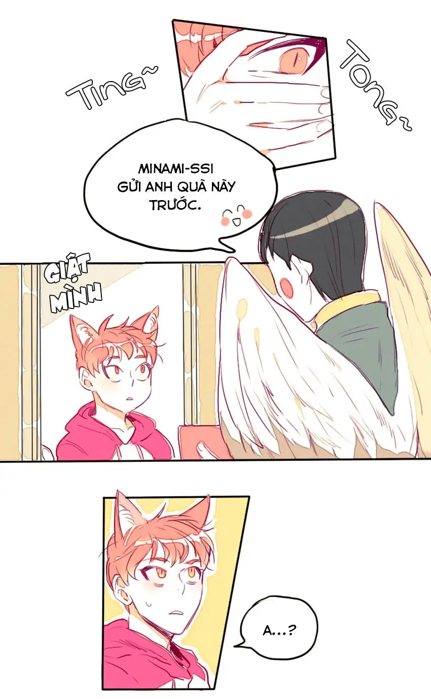 Chapter 8