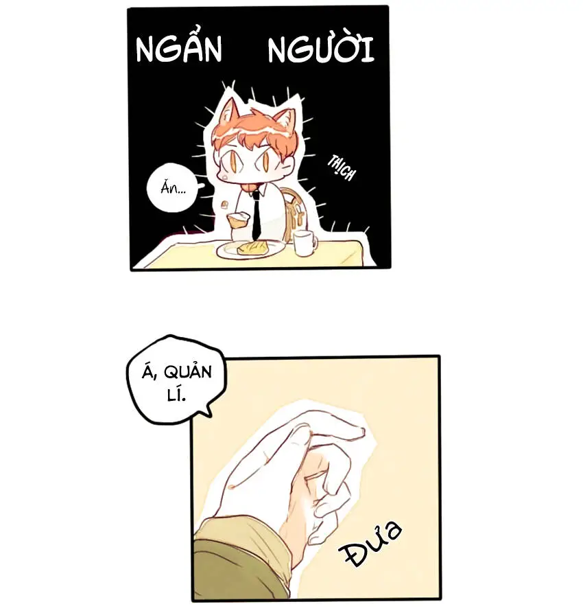 Chapter 7