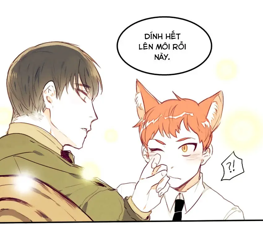 Chapter 7