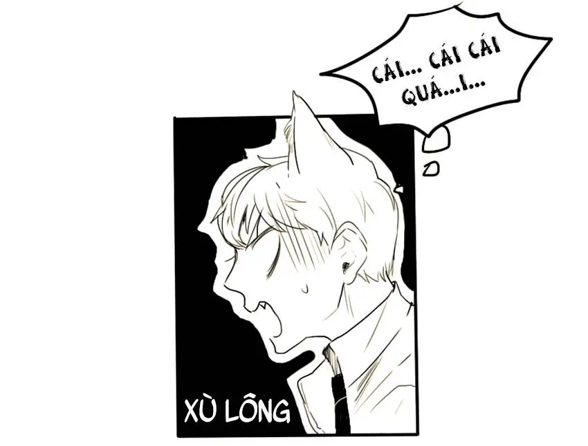 Chapter 7